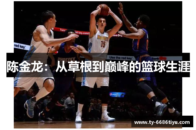 陈金龙：从草根到巅峰的篮球生涯