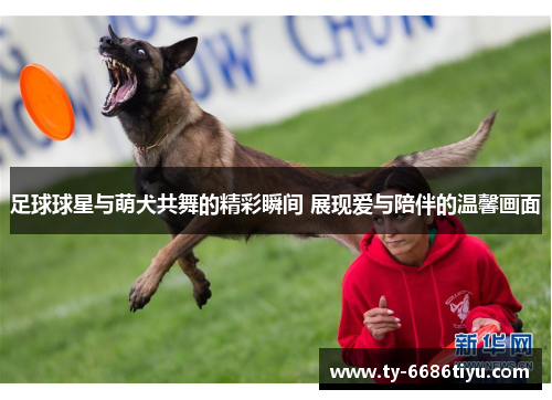 足球球星与萌犬共舞的精彩瞬间 展现爱与陪伴的温馨画面